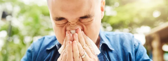 was tun gegen pollen in der wohnung