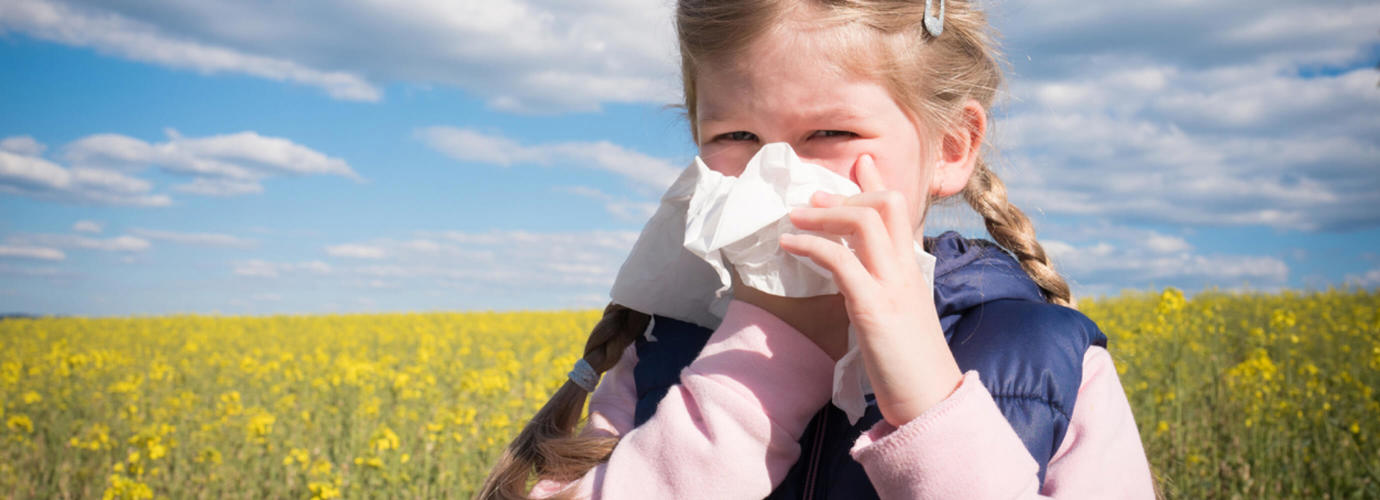 Allergie Crociate
