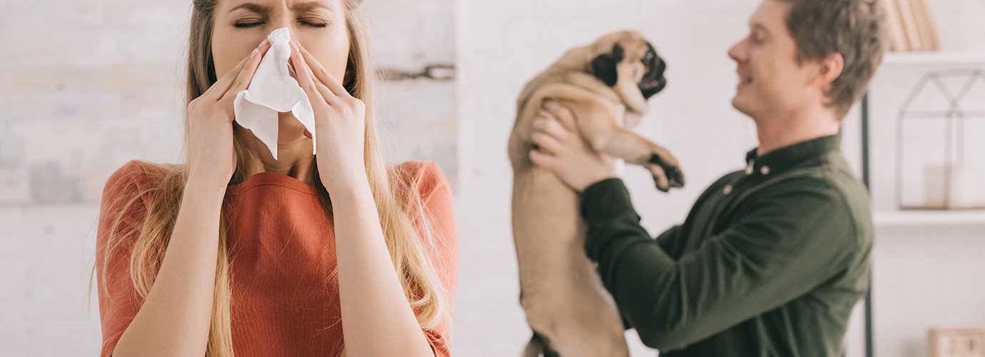Vrouw niest terwijl een man in de achtergrond een mopshond vasthoudt