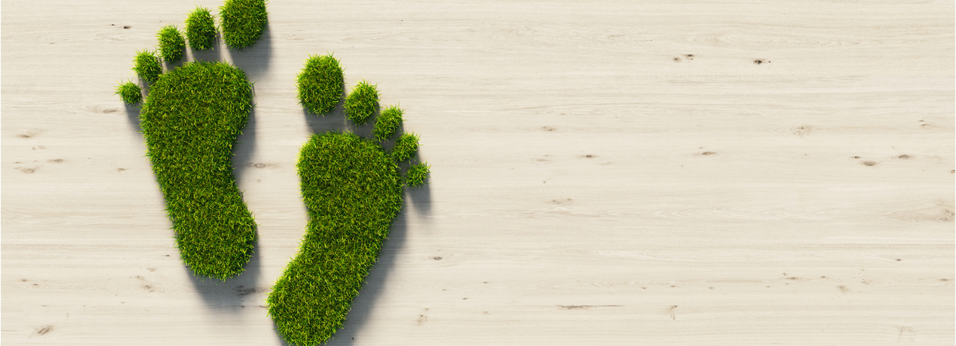 Che cos’è l’impronta ecologica?