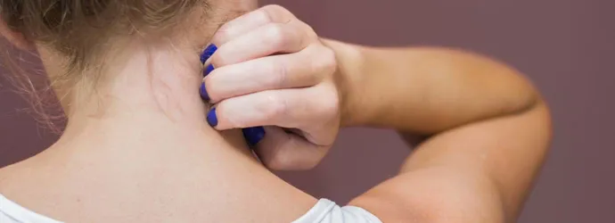 Tipps gegen Wespen im Sommer – und was du tust, wenn sie dich erwischen
