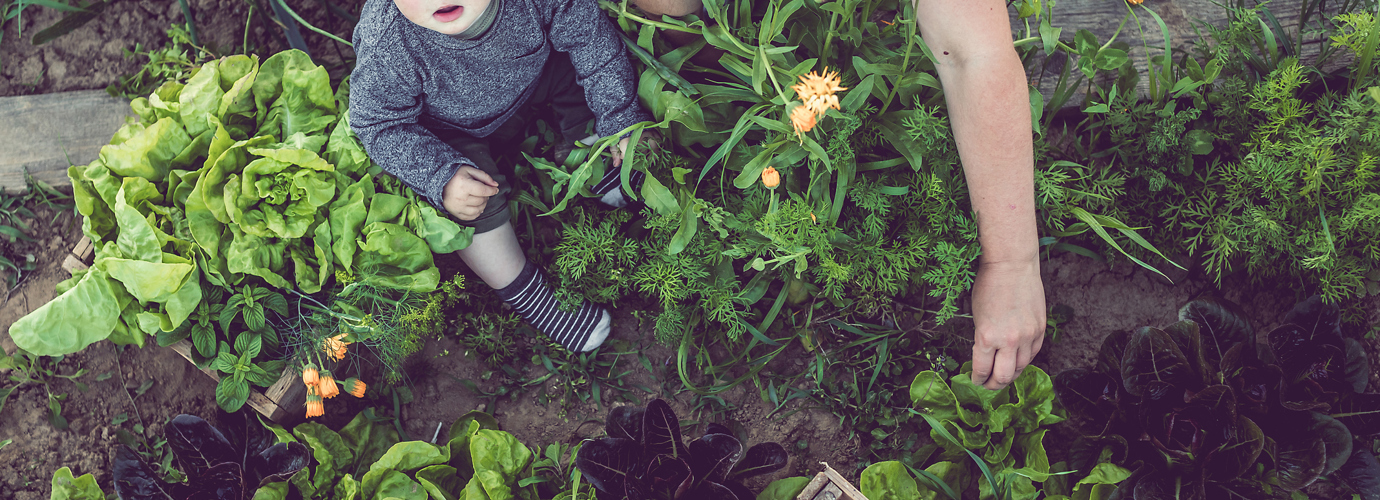 Consigli eco-friendly: come essere sostenibili a casa