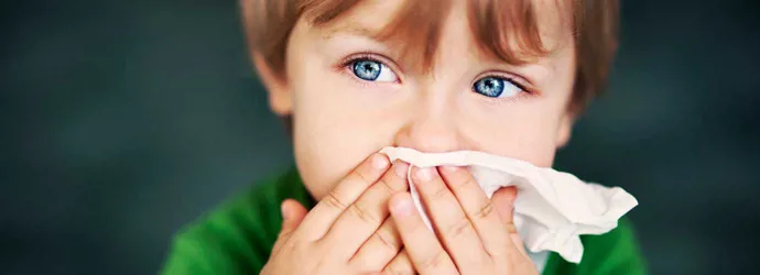5 modi per affrontare l’allergia alla polvere